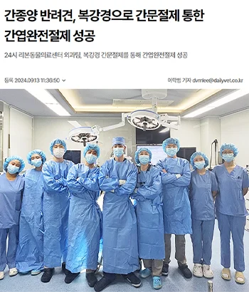 간종양 반려견, 복강경으로 간문절제 통한 간엽완전절제 성공, 24시 리본동물의료센터 외과팀, 복강경 간문절제를 통해 간엽완전절제 성공